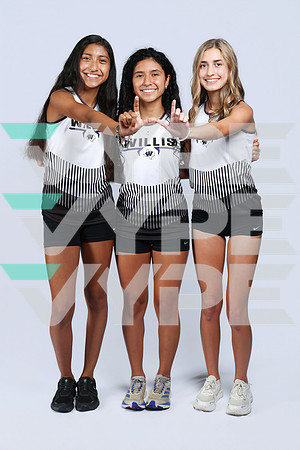 913A5401-WILLIS_HS-(BROWN)