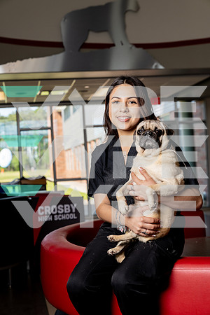 CROSBY_COUGAR_CANINE_ALicia Diaz-(BCC)