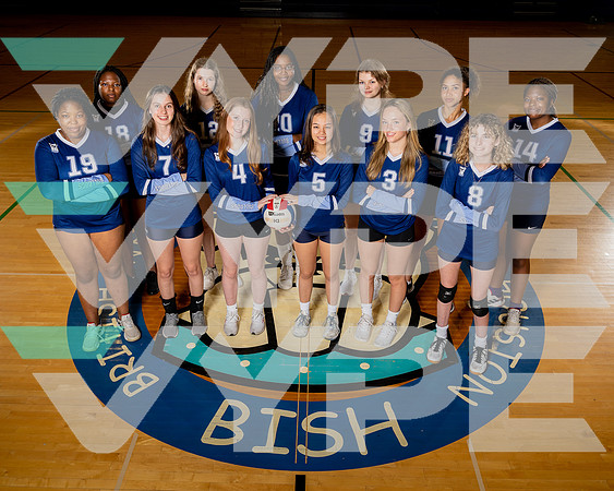 BRITISH_VB_TEAM_00387-(BCC)