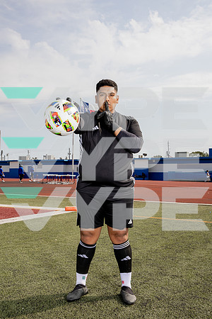 ALDINE_SOC-(BROWN)-620