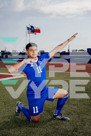 ALDINE_SOC-(BROWN)-590