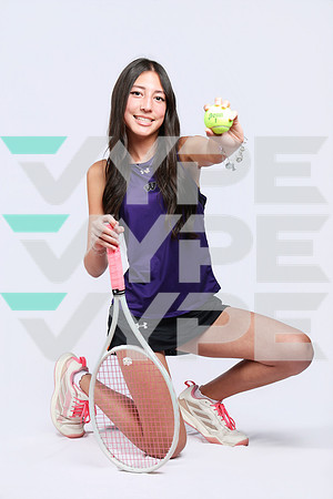 913A5309-WILLIS_HS-(BROWN)