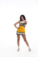 KLEIN OAK_CHEER-(COLLIER)-2
