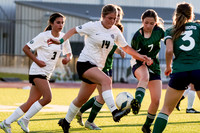 13_TWCA_LSA_GSOC__-(BCC)