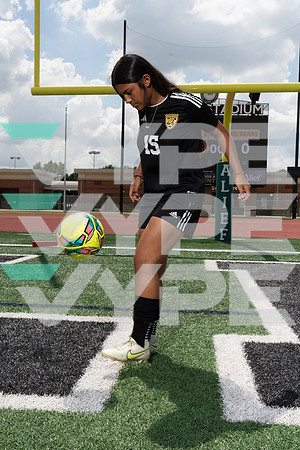 HASTINGS_GSOC_00523-(COLLIER)