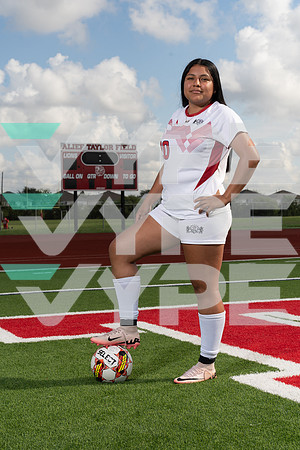 TAYLOR_GSOC_00199-(COLLIER)