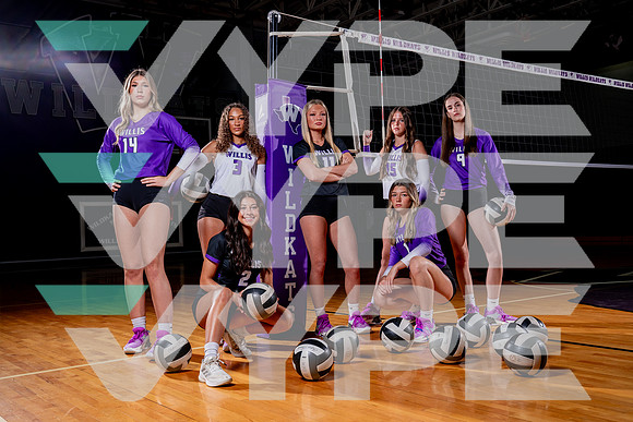 WILLIS_VB-(COLLIER)-1
