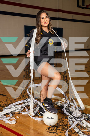 EISENHOWER_VOLLEYBALL_0161-(BROWN)