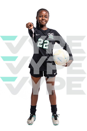 913A0386
