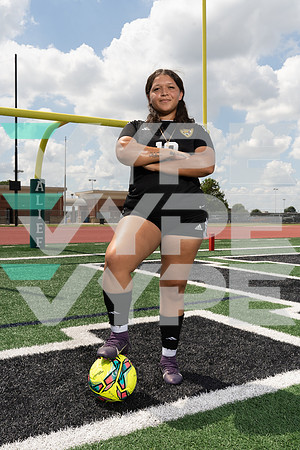HASTINGS_GSOC_00515-(COLLIER)