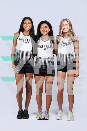 913A5400-WILLIS_HS-(BROWN)
