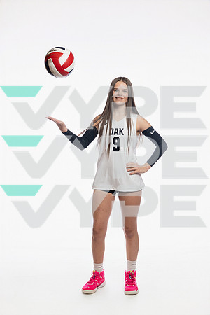 KLEIN OAK_VB-(COLLIER)-81
