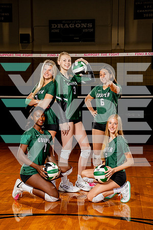 COOPER_VB-(COLLIER)-4