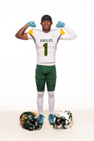 KLEIN FOREST_FB-(WRIGHT)-2