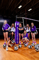 WILLIS_VB-(COLLIER)-3