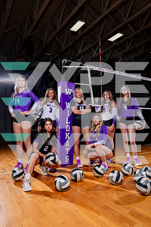 WILLIS_VB-(COLLIER)-3