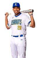 KLEIN_HIGH_BSBL-(BROWN)-00002919
