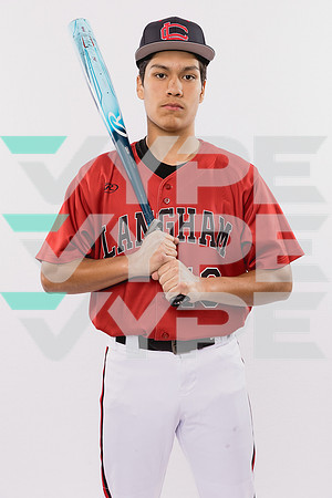 LANGHAM CREEK_BSBL-(BROWN)-289
