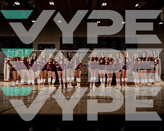 DRIPPING_SPRINGS_VB_TEAM_00681-(COLLIER)