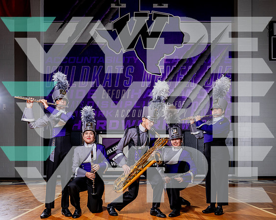WILLIS_BAND-(COLLIER)-38