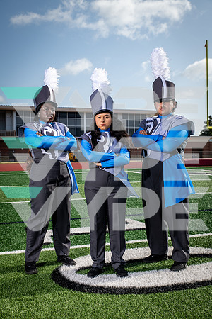 ELSIK_BAND_7786-(WRIGHT)
