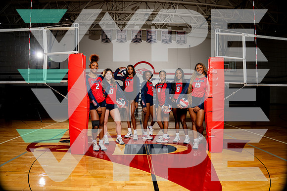 DAVIS_VB-(COLLIER)-2