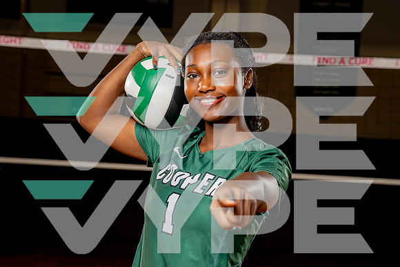 COOPER_VB-(COLLIER)-9