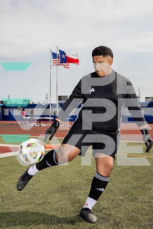ALDINE_SOC-(BROWN)-628