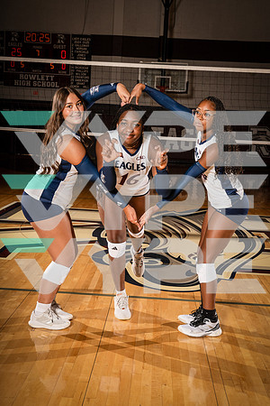 ROWLETT_VB_00101-(COLLIER)