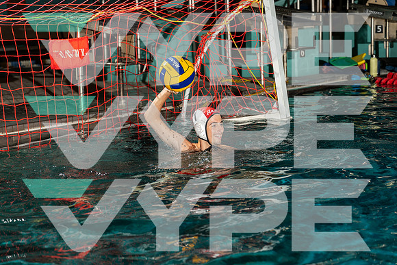 AUSTIN_WATER_POLO_-(BCC)-2