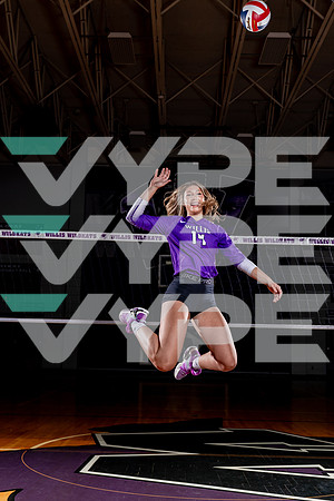 WILLIS_VB-(COLLIER)-59