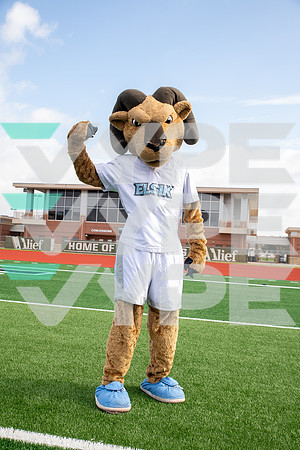 Elsik_FNL_-(WRIGHT)-3
