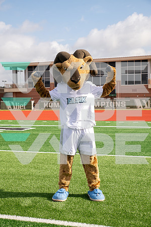 Elsik_FNL_-(WRIGHT)