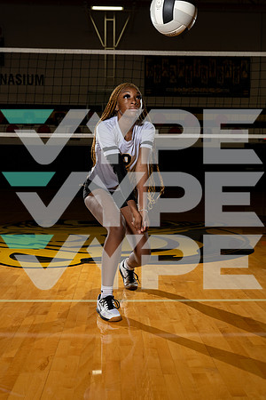 HASTINGS_VB_Andrea Shaw-(BCC)