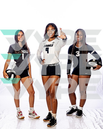 RANDLE_VB_Brooke Avery, Cidney Anthony, Elana Douglas-(BCC)-4