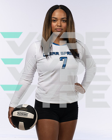 CLEAR_SPRINGS_VB_-(BCC)-4