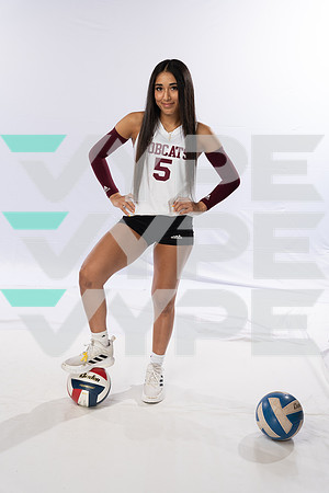 CYPRESS_FAIRBANKS_VB_-(BCC)-24
