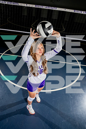 WILLIS_VB_-(BCC)-10