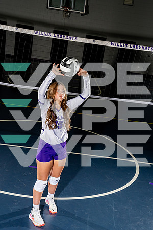 WILLIS_VB_-(BCC)-8