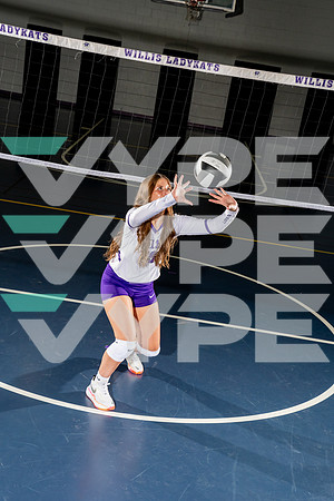 WILLIS_VB_-(BCC)-5