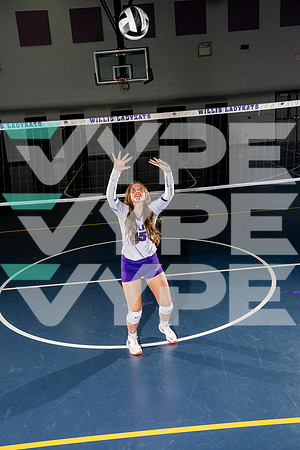 WILLIS_VB_-(BCC)-7