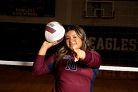 ROWLETT_VB_-(GRAHAM)-7