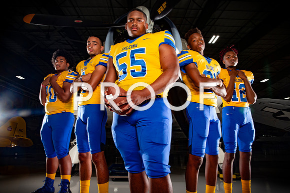 Channelview Falcons (21-6A)