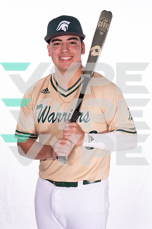 TWCA_SPRING_BSBL_GRAPHICS_158-(VYPE)
