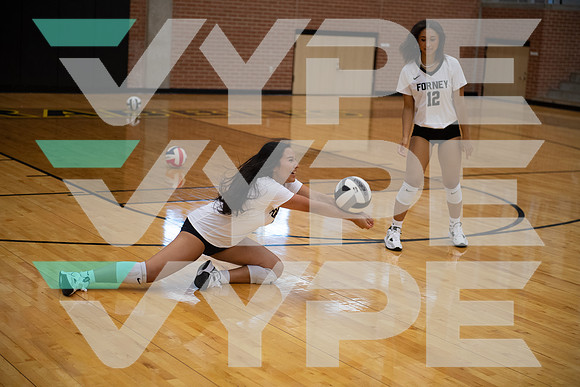 FORNEY_VB_VARSITY_ACTION_-(GRAHAM)-18
