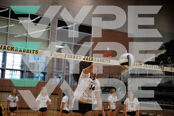 FORNEY_VB_VARSITY_ACTION_-(GRAHAM)-6