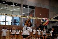 FORNEY_VB_VARSITY_ACTION_-(GRAHAM)-3