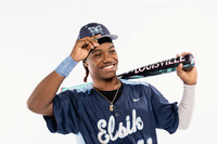 ELSIK_BSBL-(COLLIER)-00871