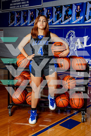 ALDINE_GBB-(BROWN)-390