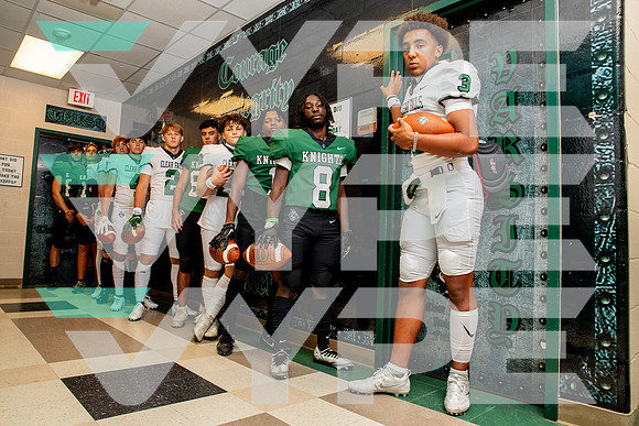 CLEAR_FALLS_FB_#1, #2, #3, #4, #8, #14, #16, #80, #82-(WRIGHT)